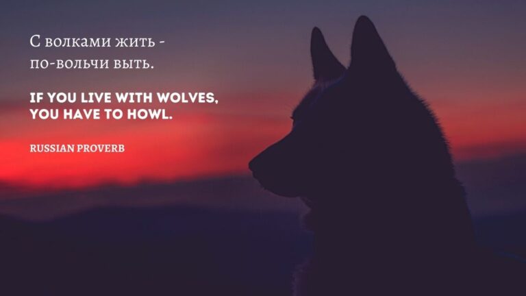 A wolf silhouette against sunset with proverb overlaid
