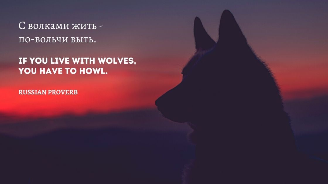 A wolf silhouette against sunset with proverb overlaid