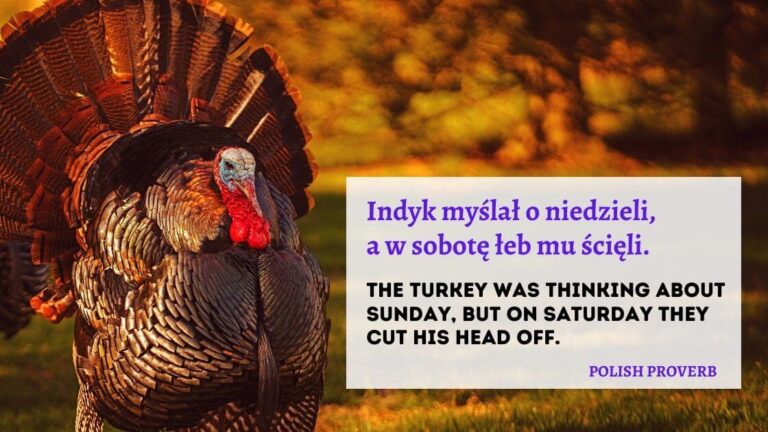 Male turkey with tail feathers spread with proverb overlaid