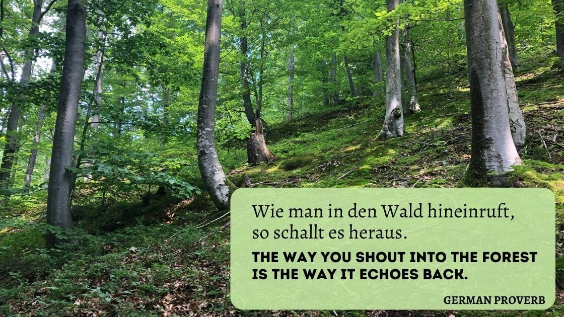 Trees in a forest with proverb overlaid