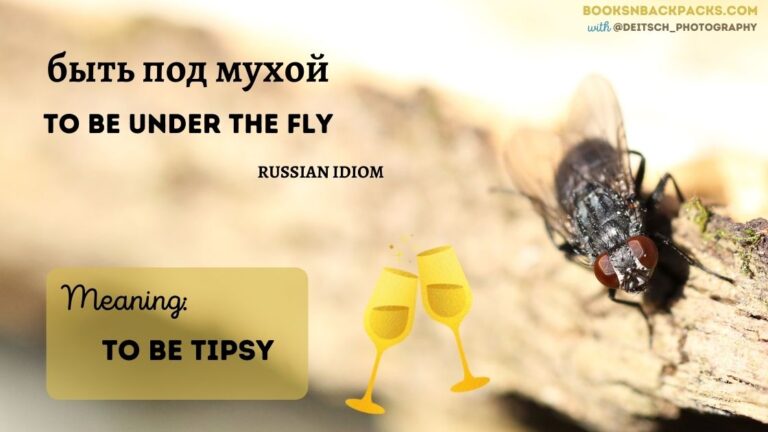 Close up of fly with idiom overlaid