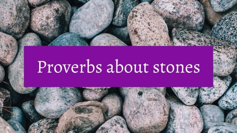 Stones with text proverbs about stones overlaid