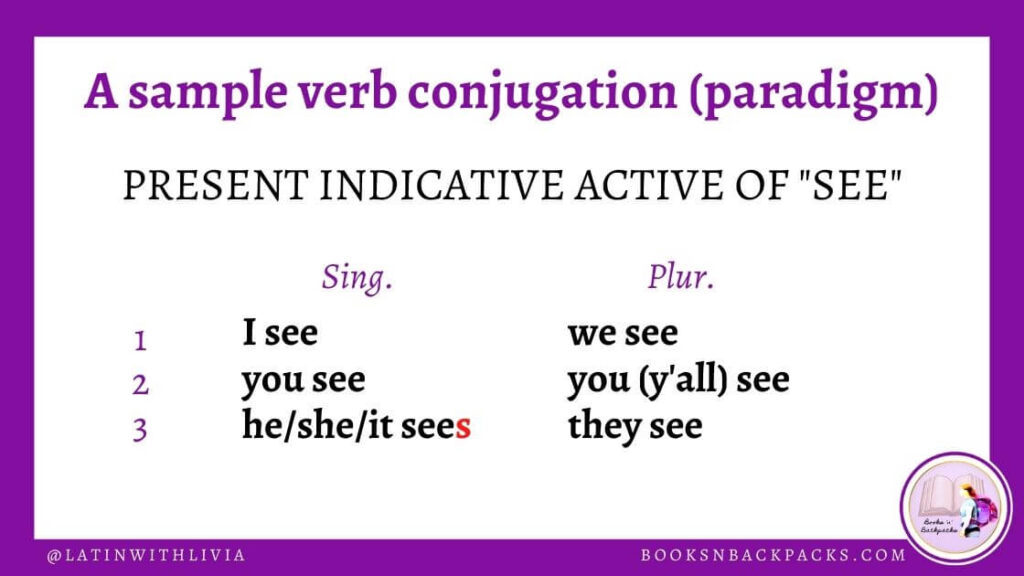 Conjugation of English verb see: I see, you see, he/she/it sees, we see, you (y'all) see, they see