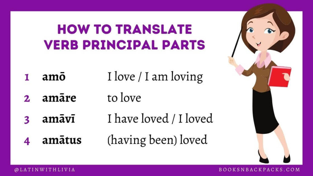 Infographic summarizing translations of Latin verb principal parts