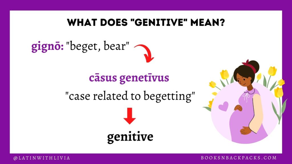 Image of a pregnant woman alongside a flowchart showing the etymology of the Latin genitive case