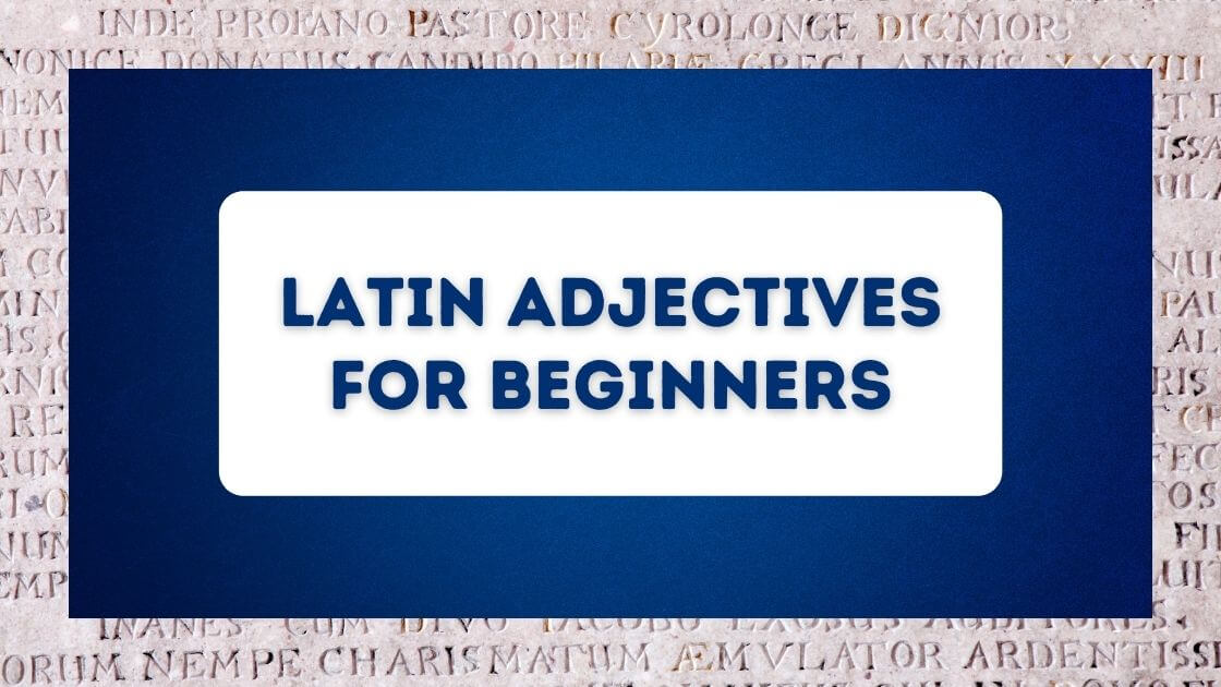 A graphic that says Latin adjectives for beginners