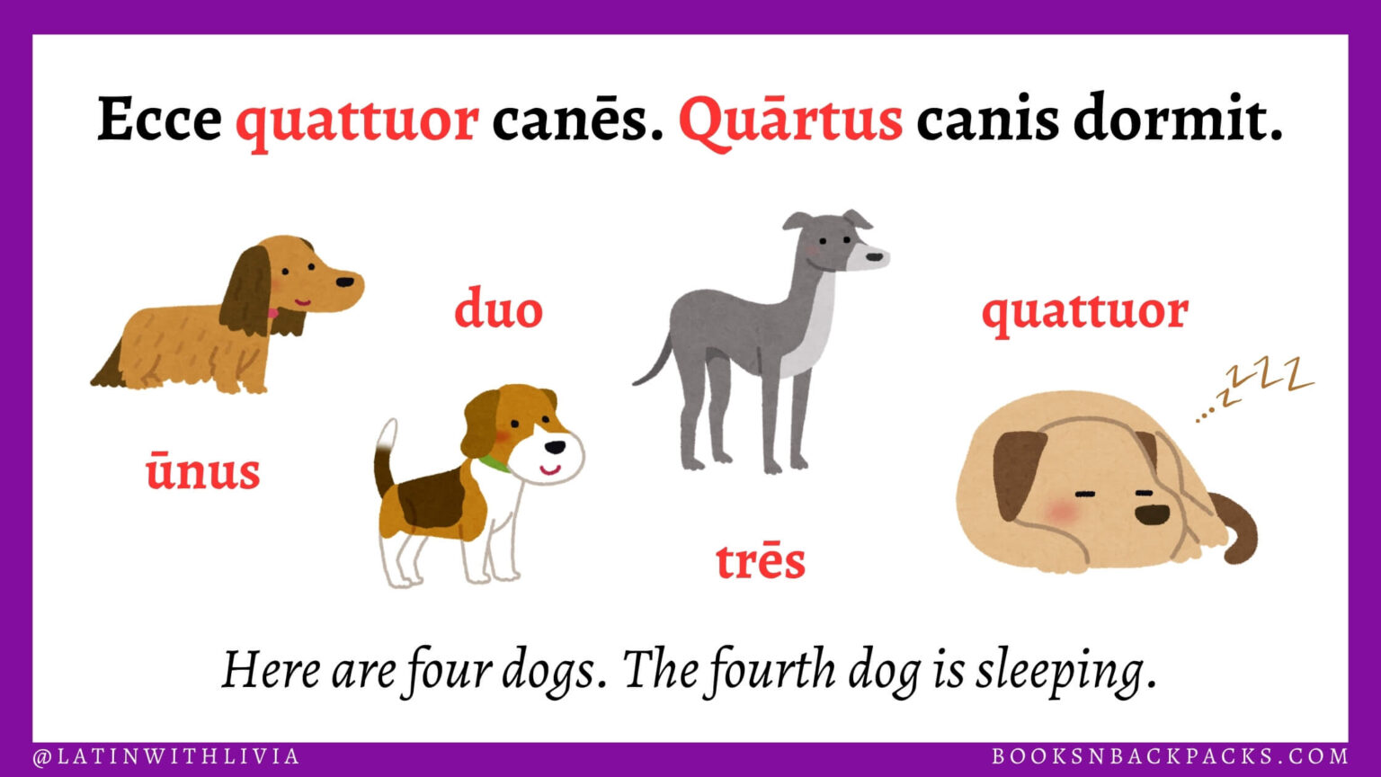 Illustration of a sentence with Latin numbers: Ecce quattuor canes. Quartus canis dormit. Here are four dogs. The fourth dog is sleeping.