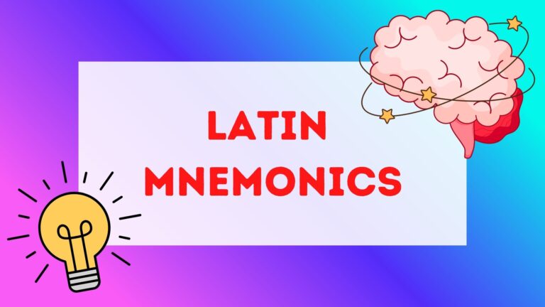 A lightbulb and a brain with stars circling it accompany the title text Latin Mnemonics